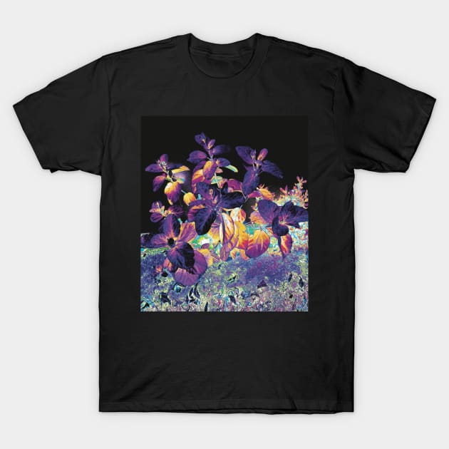 Nightshade T-Shirt by Shanzehdesigns